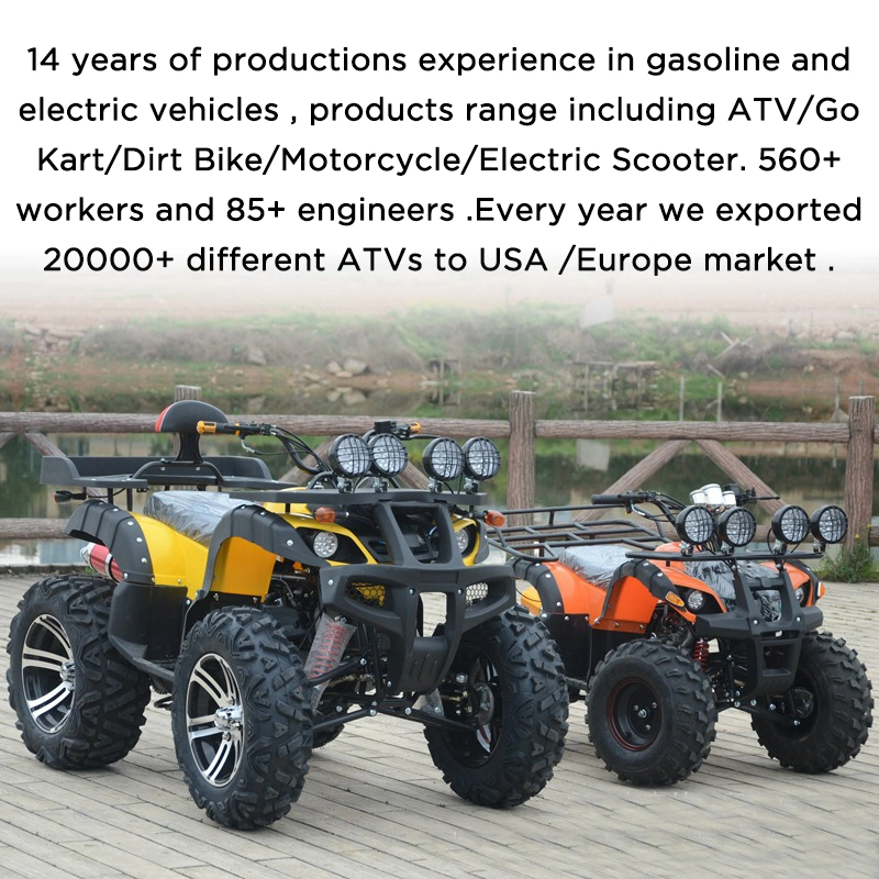 Farm Utvelectric UTV Utility Vehicleside by Side UTV