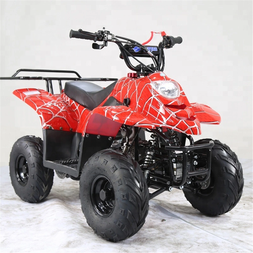 High Quality Kids 110cc ATV for Sale