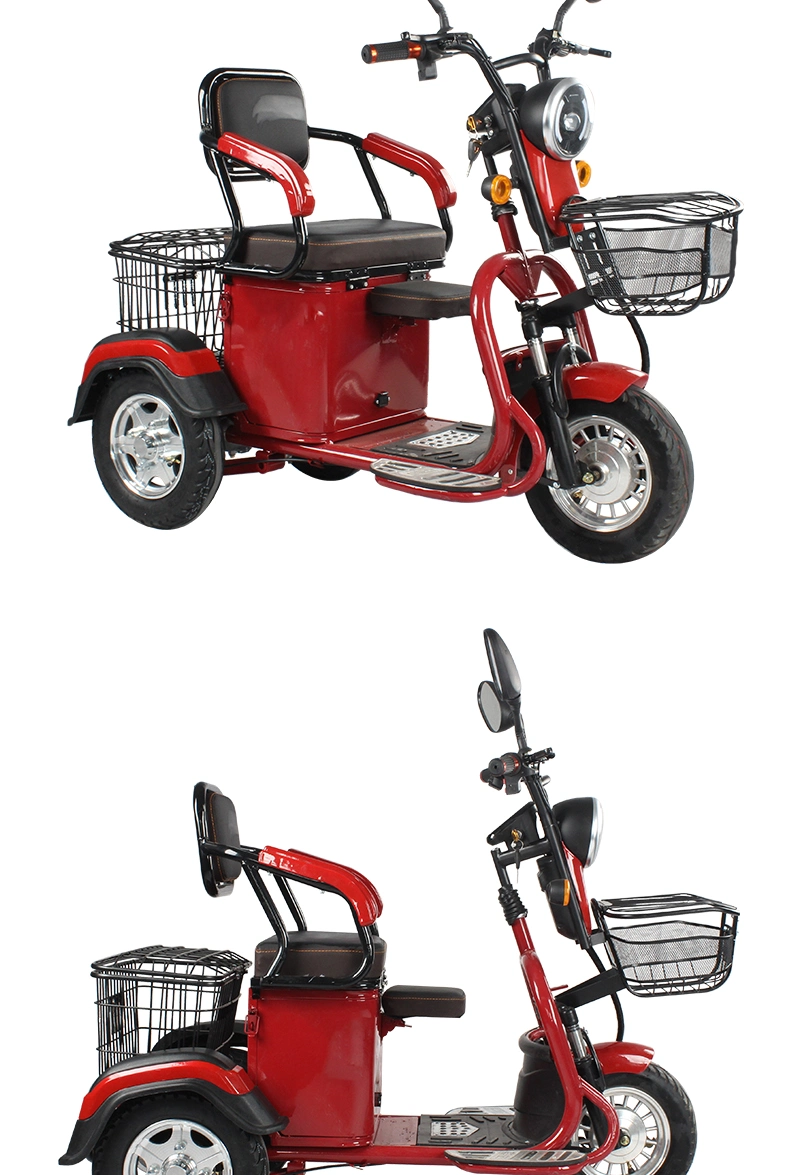 25km Top Speed Etrike Open Electric Tricycle 3 Wheelers