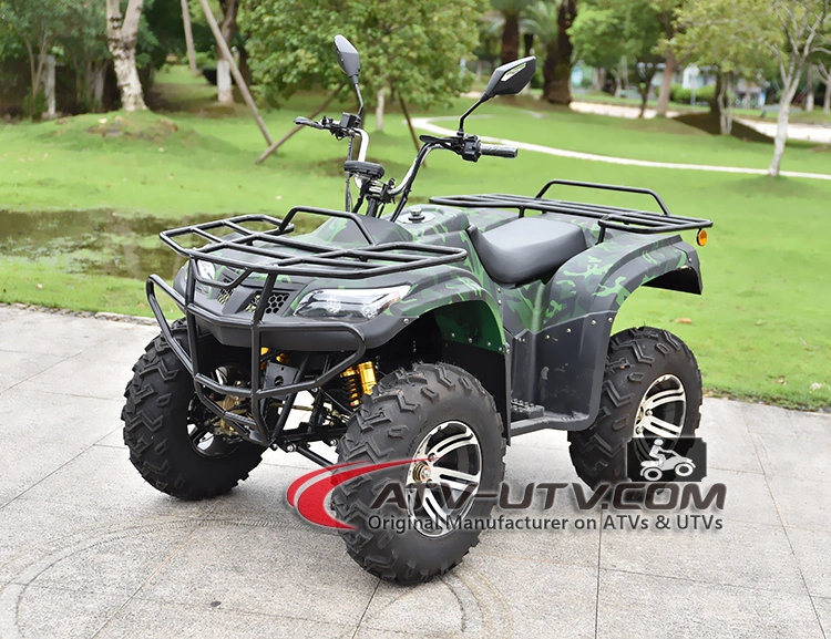 4000W 5000W 6000W Amphibious Electric Adult ATV Quads Prices