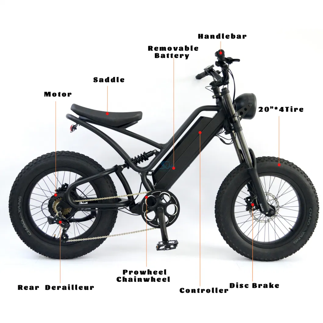 Aluninium Motor 20&prime;&prime;*4.0 Tube Kids Electric Quad Bike for Adults Ebike