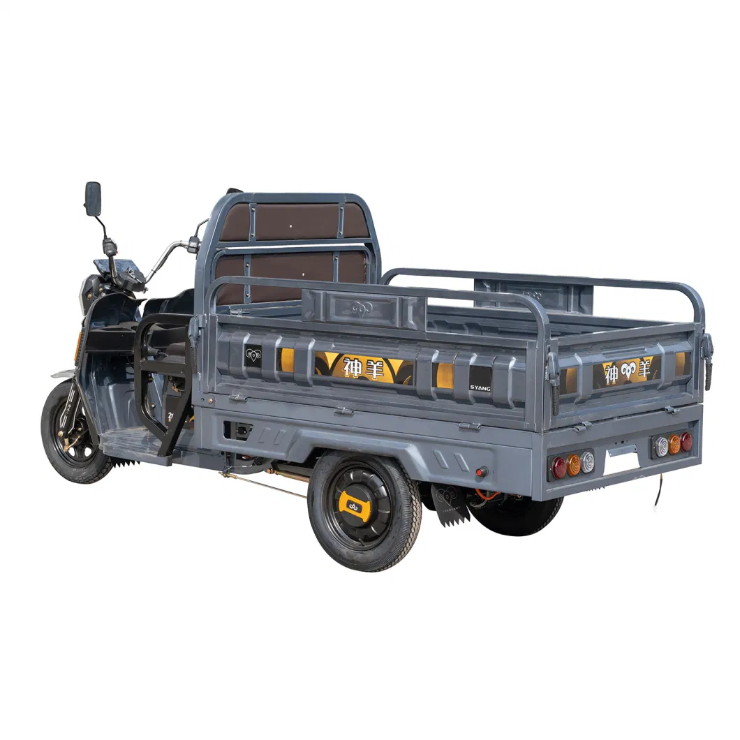 China Manufacture High Quality Cargo Transport Electric Tricycle Three Wheeler for Sale