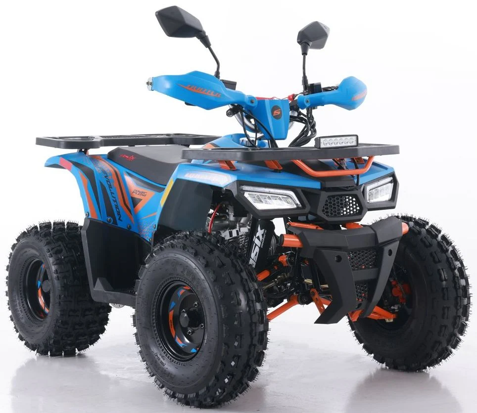 Tao Motor 2024 New Quad Bike Automatic Chain Drive 125cc ATV