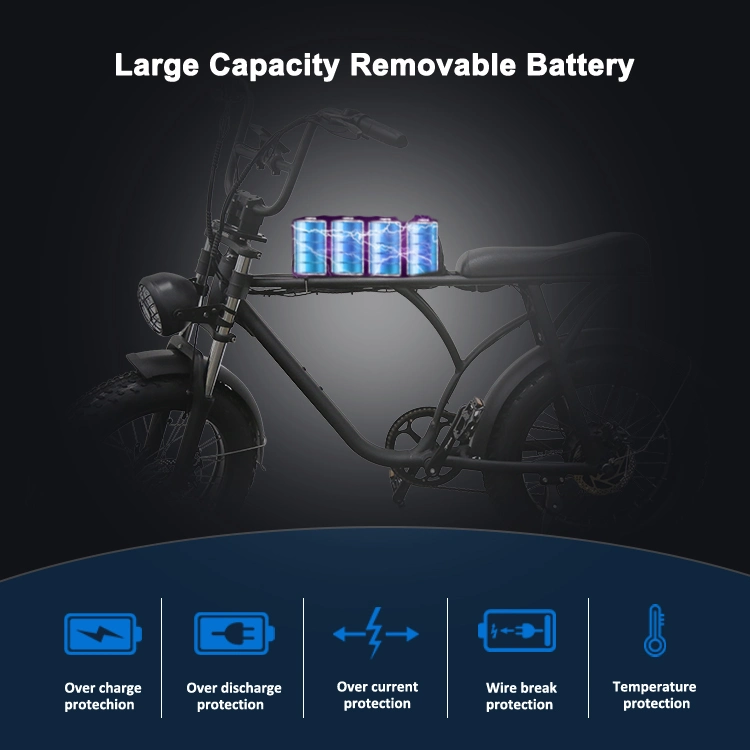 7 Gears E-Bike Li-ion Battery Electric Bicycle Fat Tire Ebike Electric ATV Bike