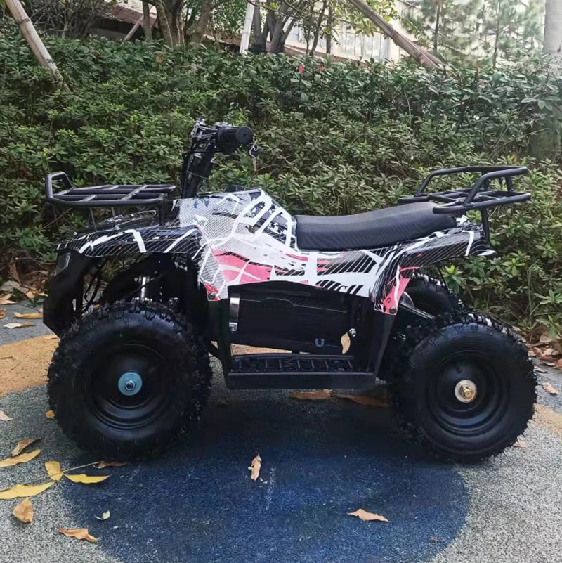 Kids ATV Electric Quad Bike 800W