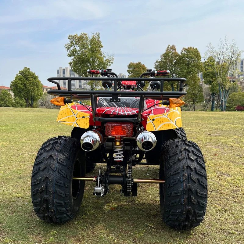 China Factory Gas Powered 200cc 4 Wheeler ATV for Adults