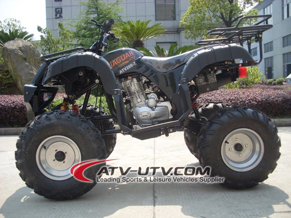 Factory Direct Selling Cheap Chinese Quad Bike Adult ATV Quad Bikes Beach Motorcycle Prices for Sale