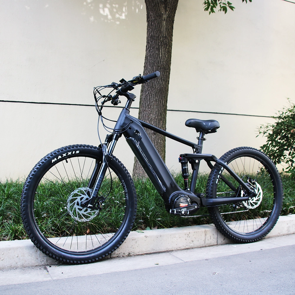 &gt;50km/H Electric Bicycle 750W/1000W 20ah New Big Powered Ultra Light Lithium Electric Bike