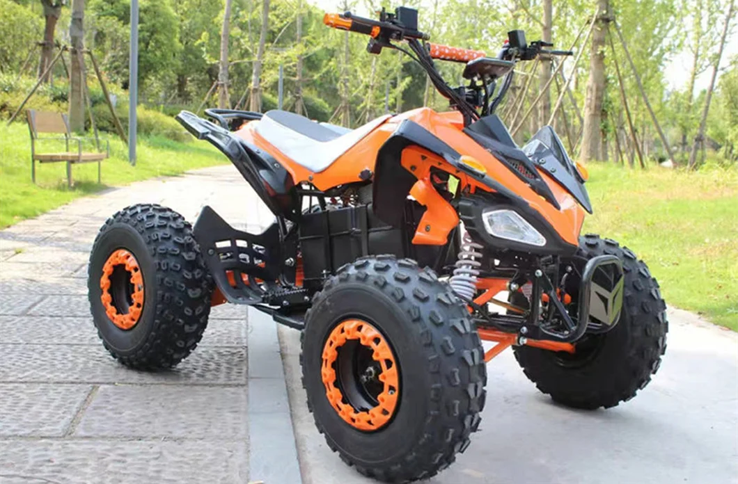 Mini Electric Quad Bike 48V/60V 1200W Motor All-Terrain Beach Motorcycle ATV