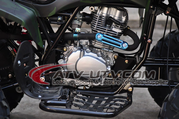 EEC 110cc 125cc 150cc 200cc 250cc 350cc 4X4 Air Cooling Adult Dune Buggy ATV Quad Bike Price