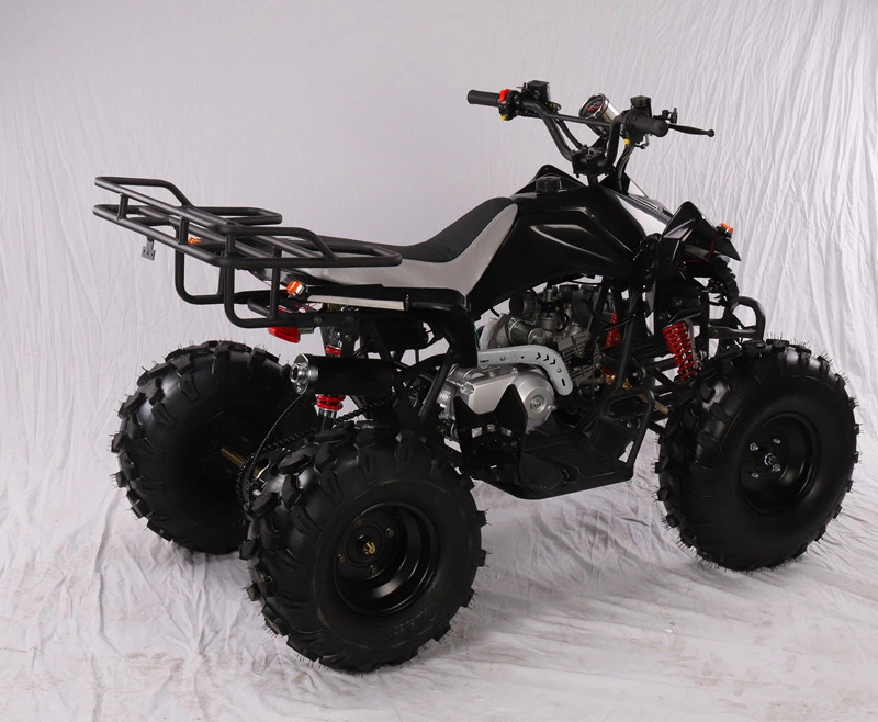 110cc 125cc ATV Quad Automatic Kids