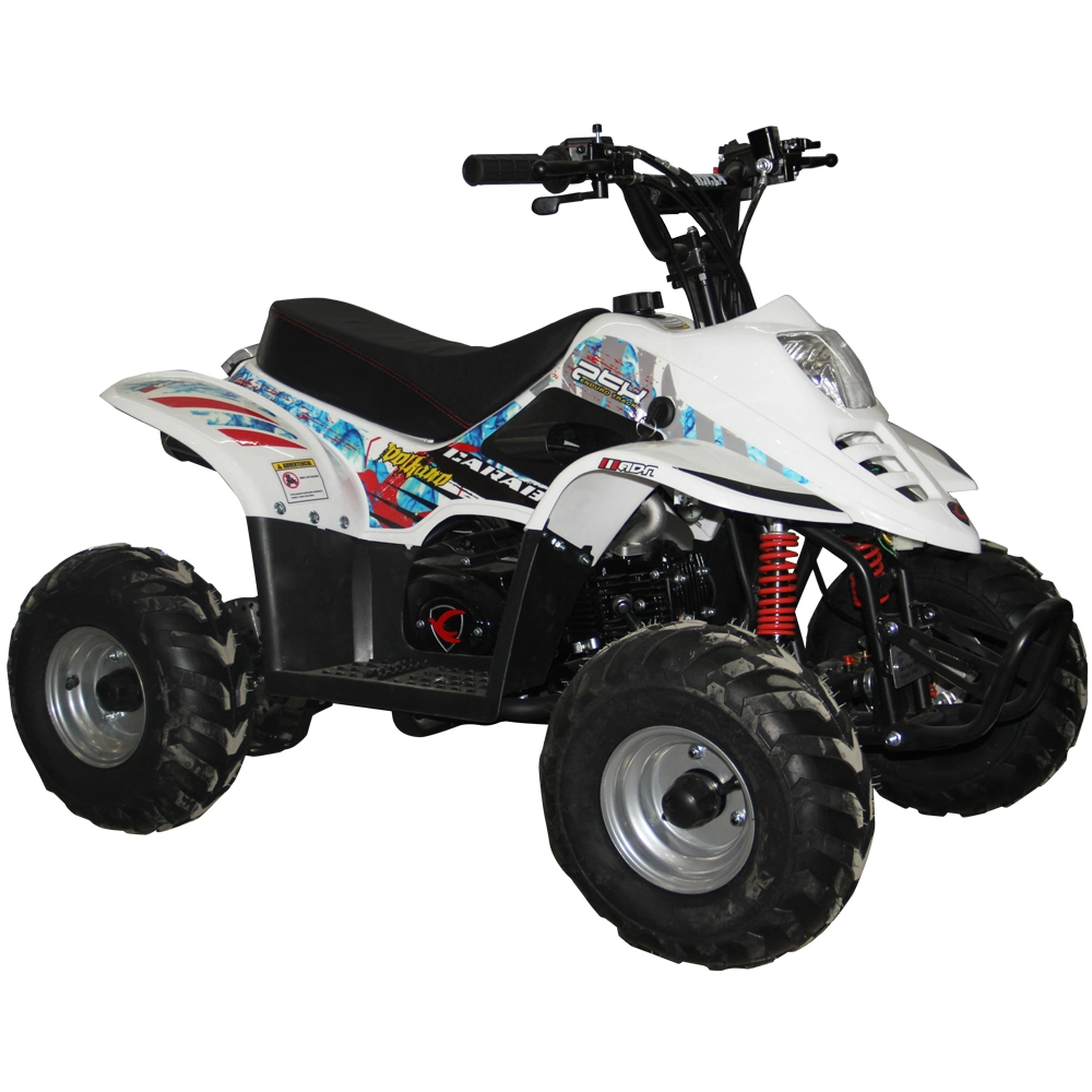 50cc ATV Kids Quad Bike Mini off Road