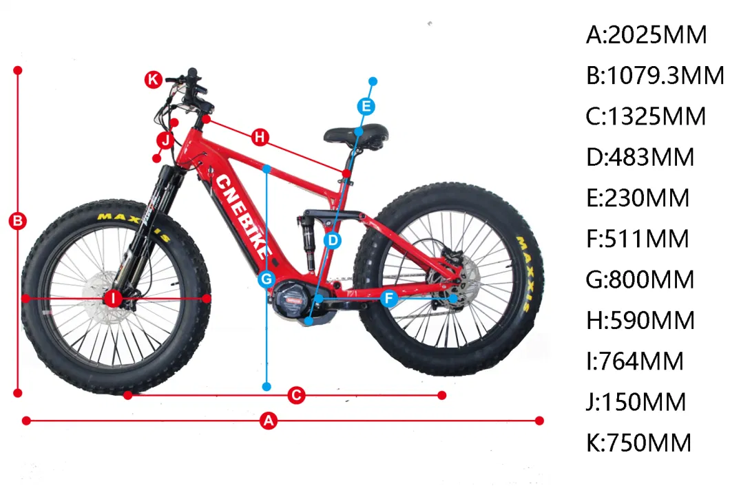 Electric Bicycle 750W 1000W 30ah New Big Powered Ultra Light Lithium Electric Bike