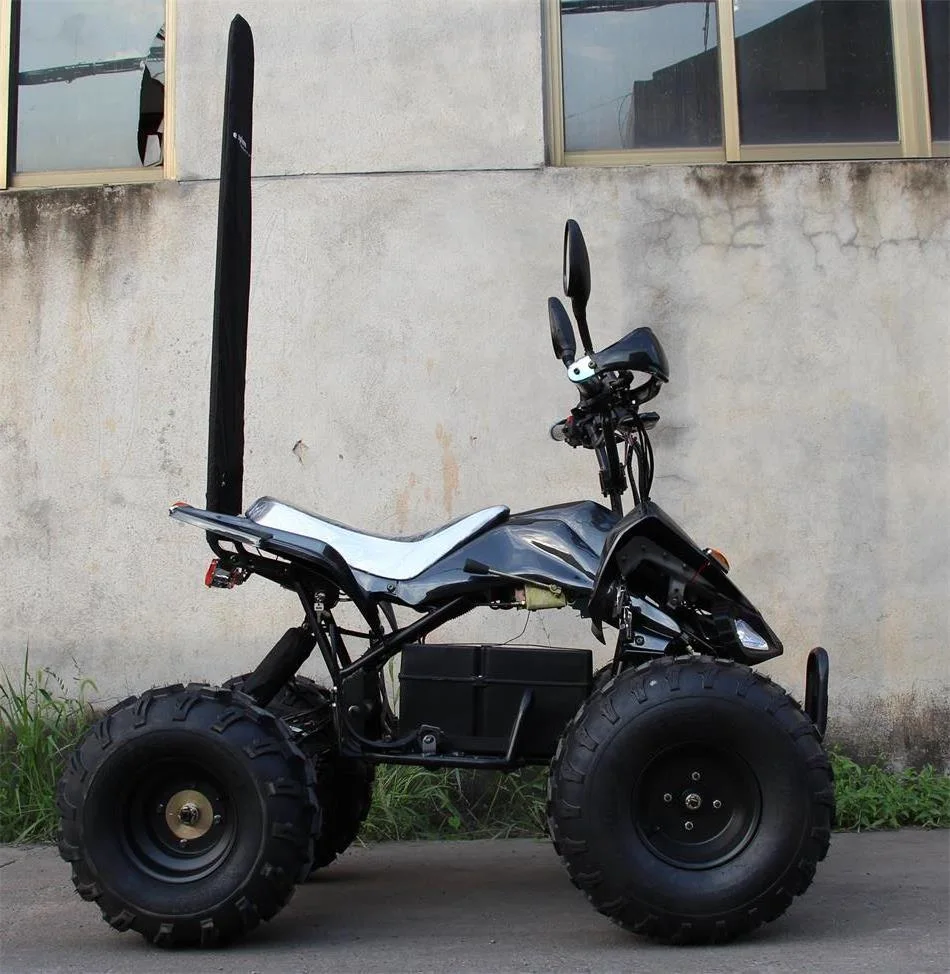 Vibrant 1000W 48V Middle ATV Suitable for Ages 10-14