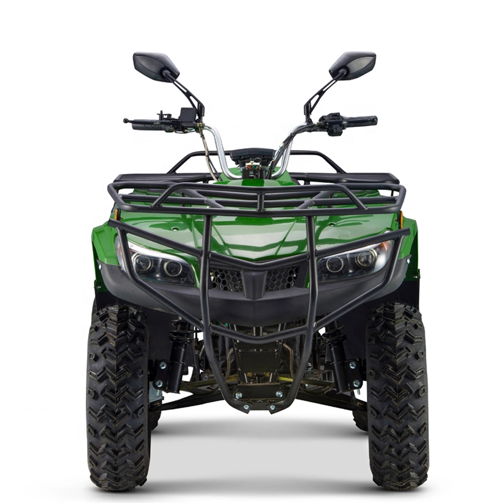 Sport Hunting Outdoors New Shaft Driving 5000W Farm Quad Bike Cruiser Electric ATV