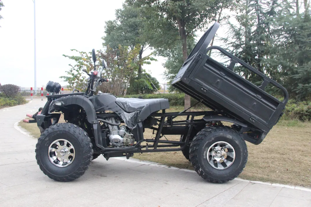 Farm ATV 300cc Water-Cooled Quad Bike Farm ATV with Trailer