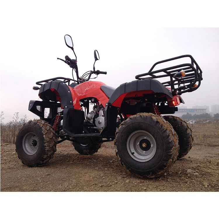 Vehicle Electro Gas Four Wheelers for Kids Japan Qvad Trike Adult 125 Quad 14 Inch Rim 4 Wheel Drive 80cc ATV