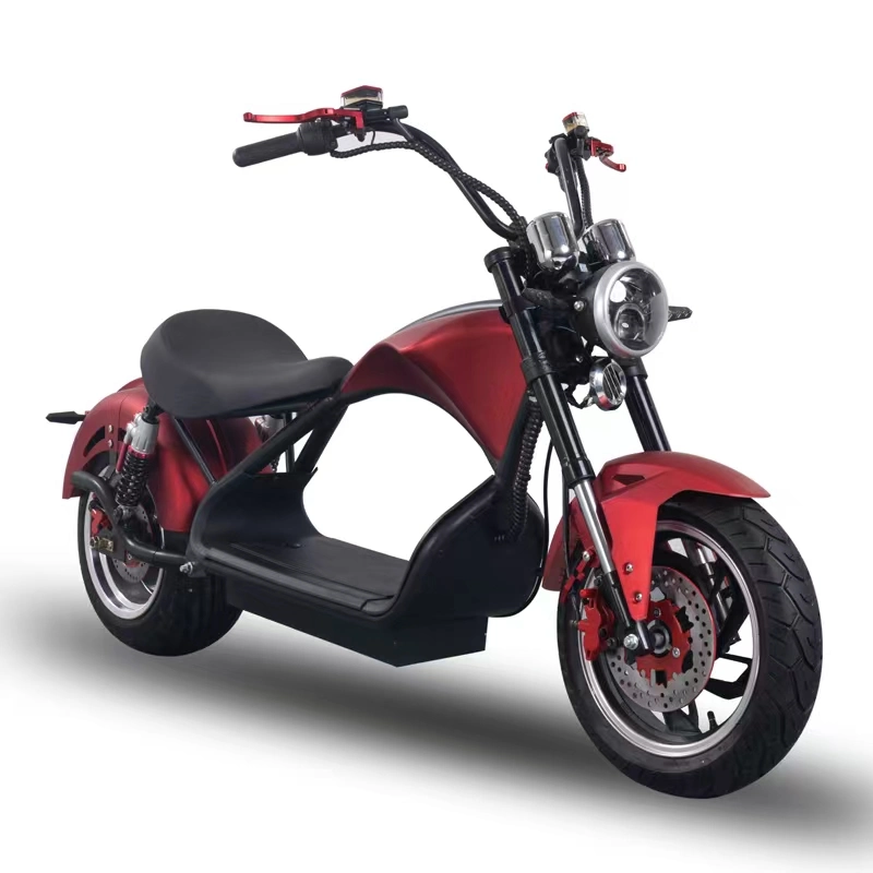 New Adult Fashionable Electric Scooter for Sale Two Wheeled Motorcycle 1500W Rated Motor