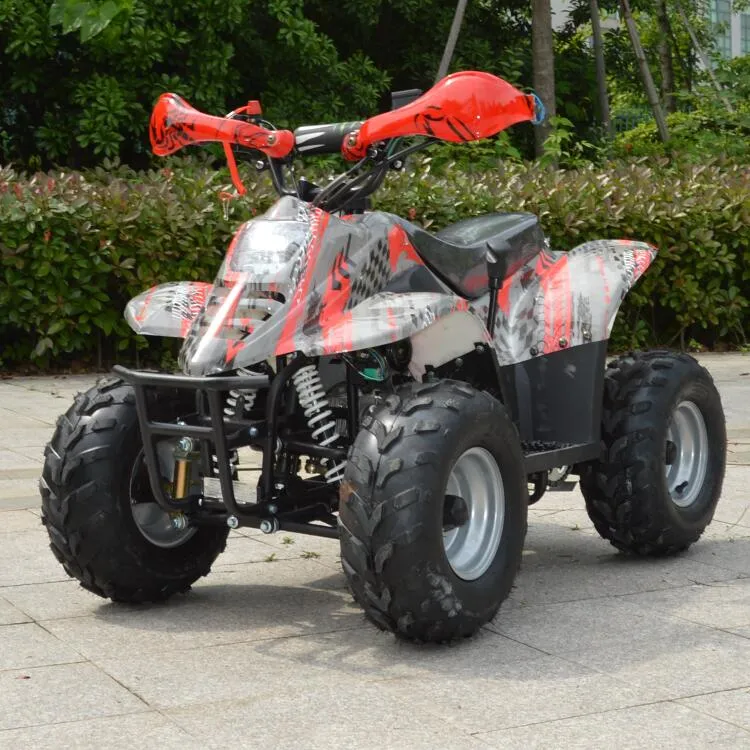 800W Electric ATV, Quad for Kids, Electric 4 Wheeler Et-Eatv003