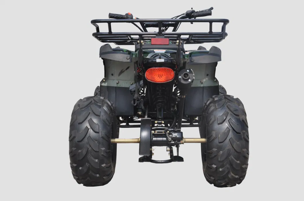 110cc, 125cc, 200cc Petrol Engine 2X4 Quad ATV Kids Mini ATV