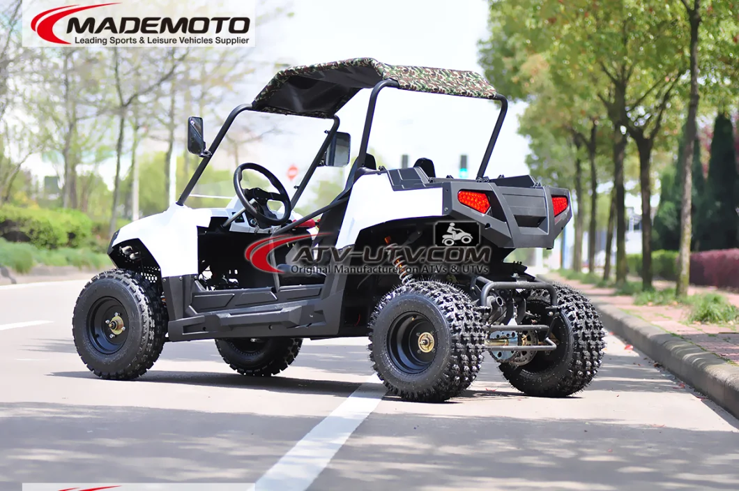 1500W 2000W 3000W 4000W 5000W Shaft Drive Electric UTV