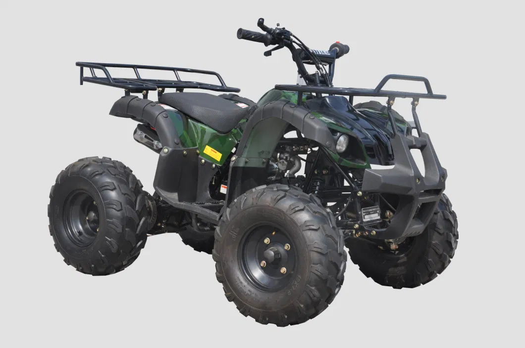 110cc, 125cc, 200cc Petrol Engine 2X4 Quad ATV Kids Mini ATV