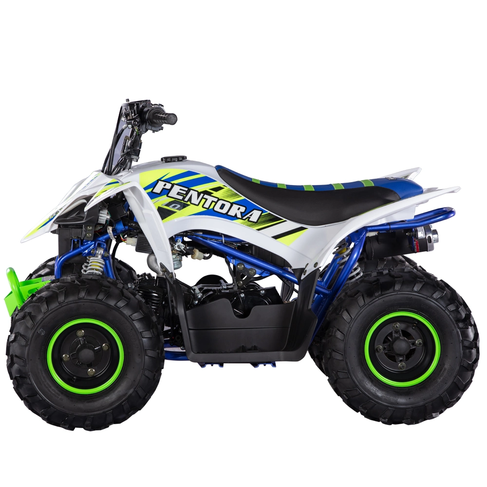 Mini Sport ATV 110cc Quad Bike for Child