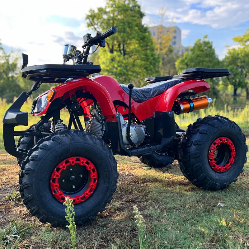 Electric Start Youth Adult Quad Bike ATV