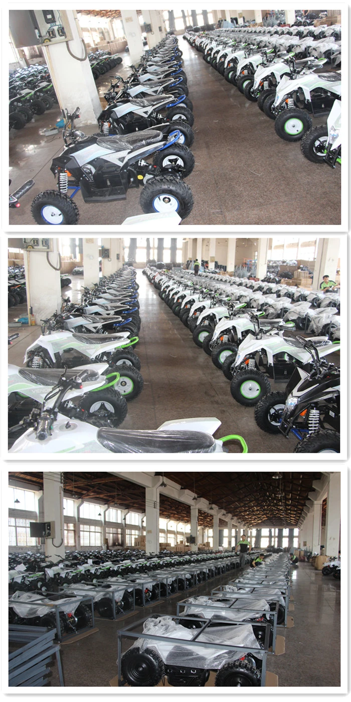 500 W Cheap ATV Electric with High Quality