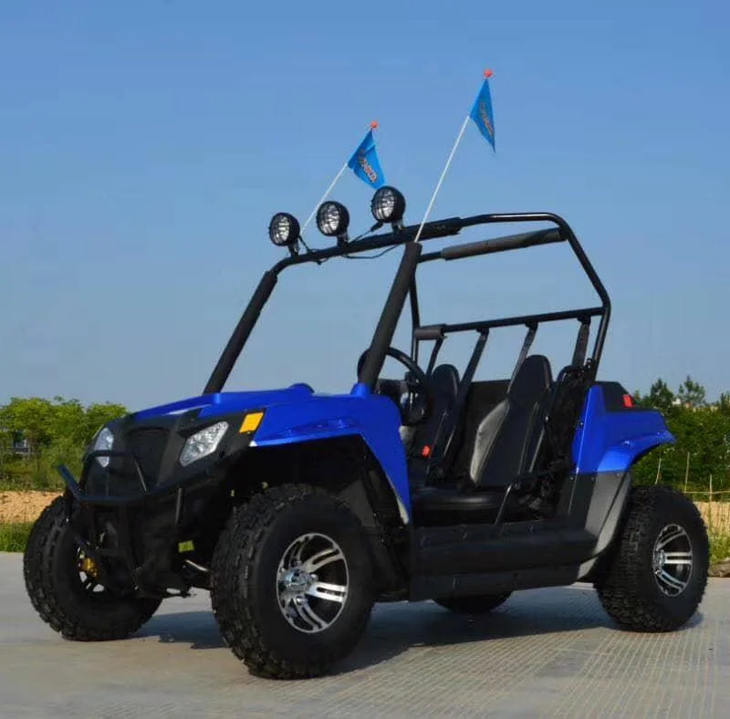 Buy in China 2 Seats Adults Electric UTV 3000W