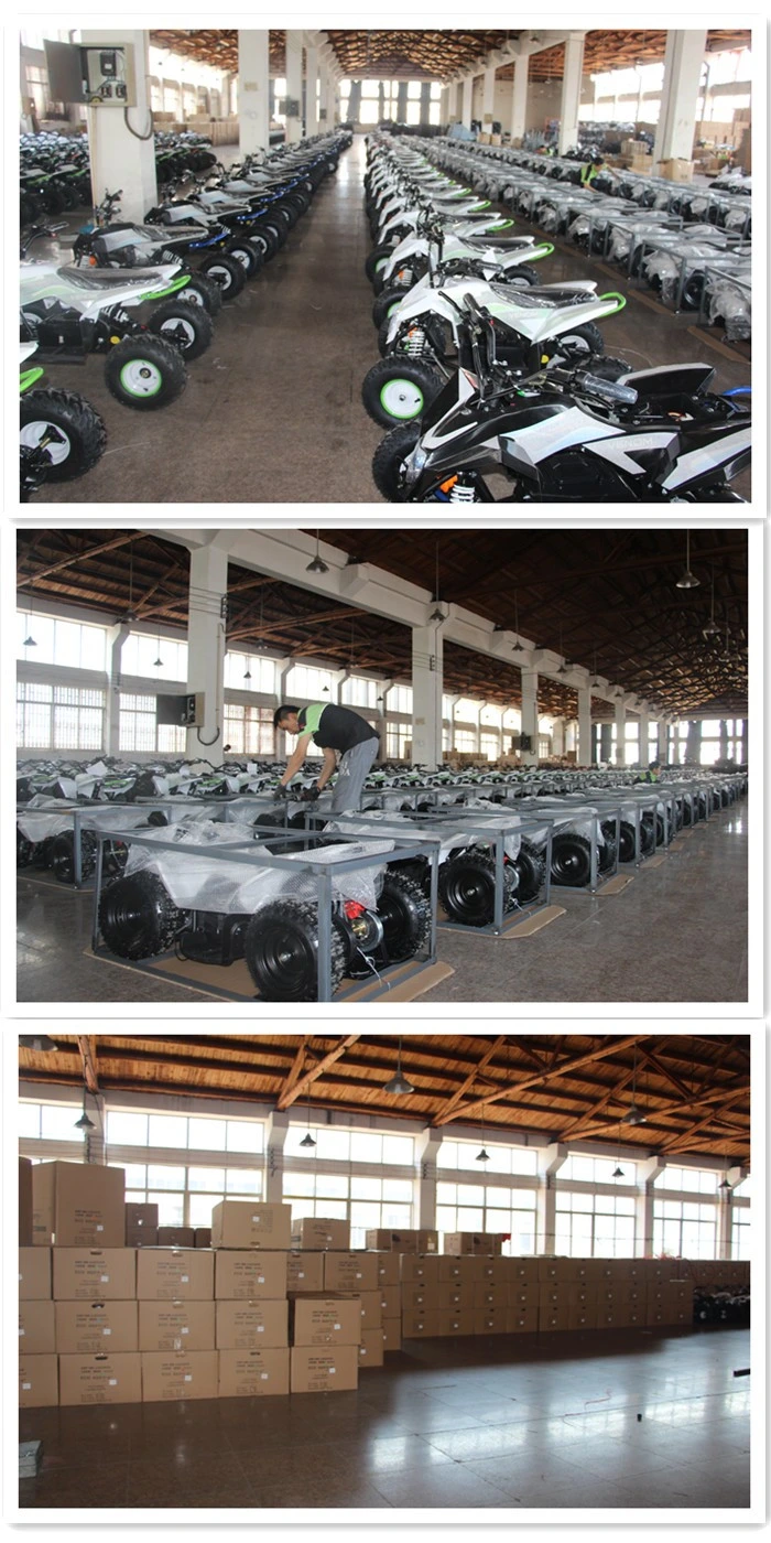 350W, 500W, 800W, 1000W Mini Electric ATV Quads for Kids