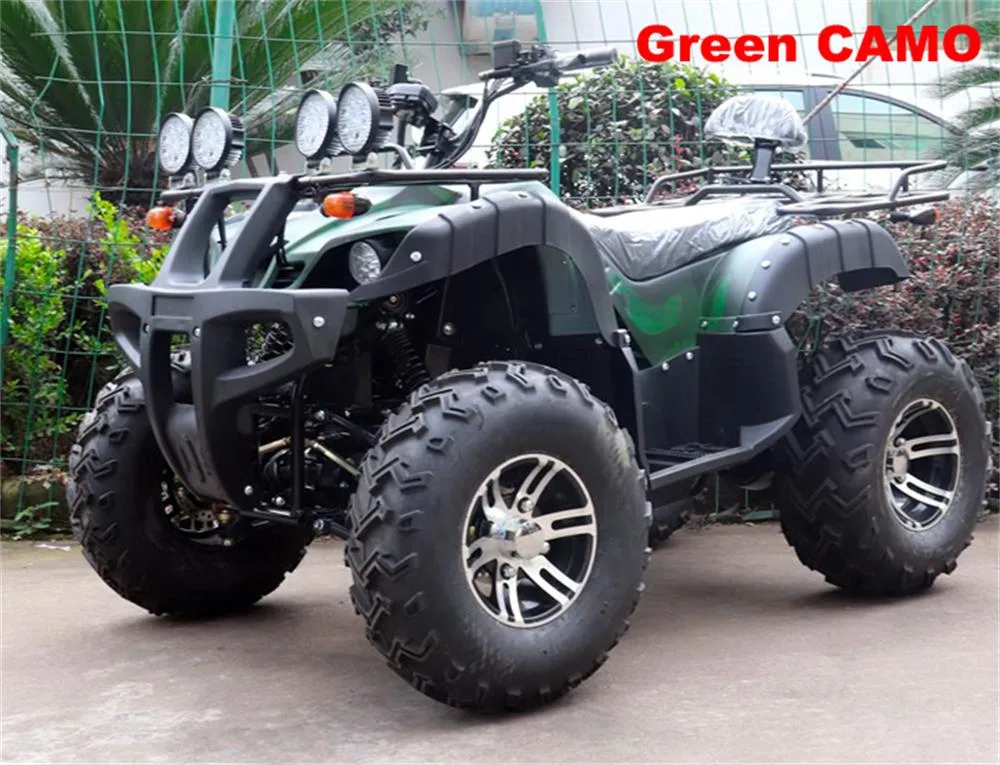 High Power 2WD Electric ATV Adult off-Road ATV Fully Sealed Battery ATV