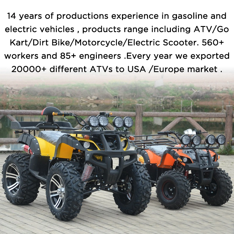 Electric ATV 4X4 Adult 5000wadult Electric Atvdiesel Atvatv 800cc