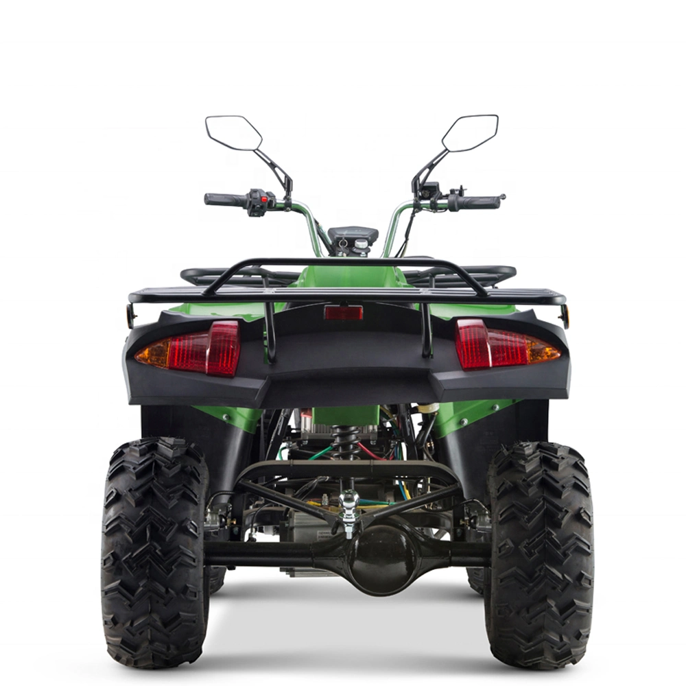 3000/5000W 60/72V Four Wheeled All Terrain Motorcycle off Road Electric Quad Atvs