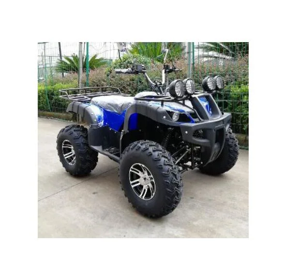 Hot 2000W Electric Adult ATV Quad Bike for Sale