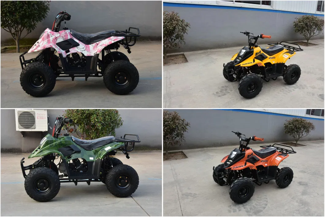 4 Stroke Engine 125cc ATV Quad Bike ATV Quad Kids