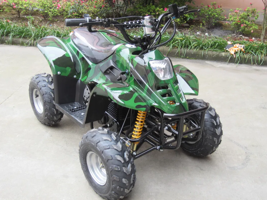 800W Electric ATV, Quad for Kids, Electric 4 Wheeler Et-Eatv003