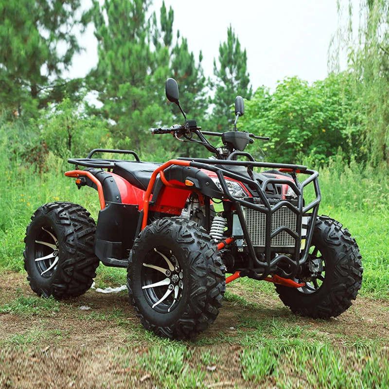 250cc Dirt Bike 4X4 ATV Gasoline&Electric Quad Bike for Adults