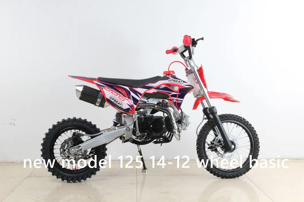 Upbeat Brand 250cc Dirt Bike Enduro 300cc Dirt Bike Dirt Bike