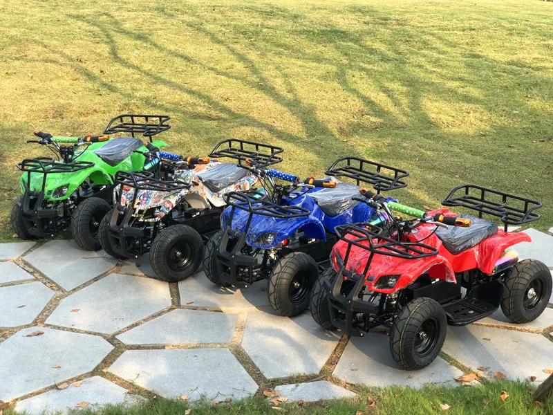 Electric Mini ATV for Kids 500W Quad ATV