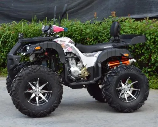 off-Road ATV Water Cooled Automatic Engine Atvs 250cc 4X4 Gasoline Quad Bike for Sale