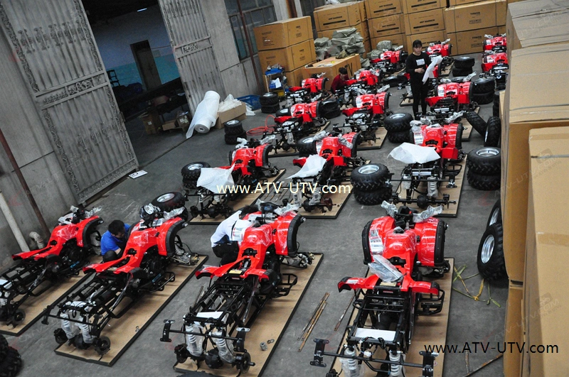 Yongkang Factory 4 All Four Wheeler 300cc Farm ATV 4X4 500cc Quad 125cc