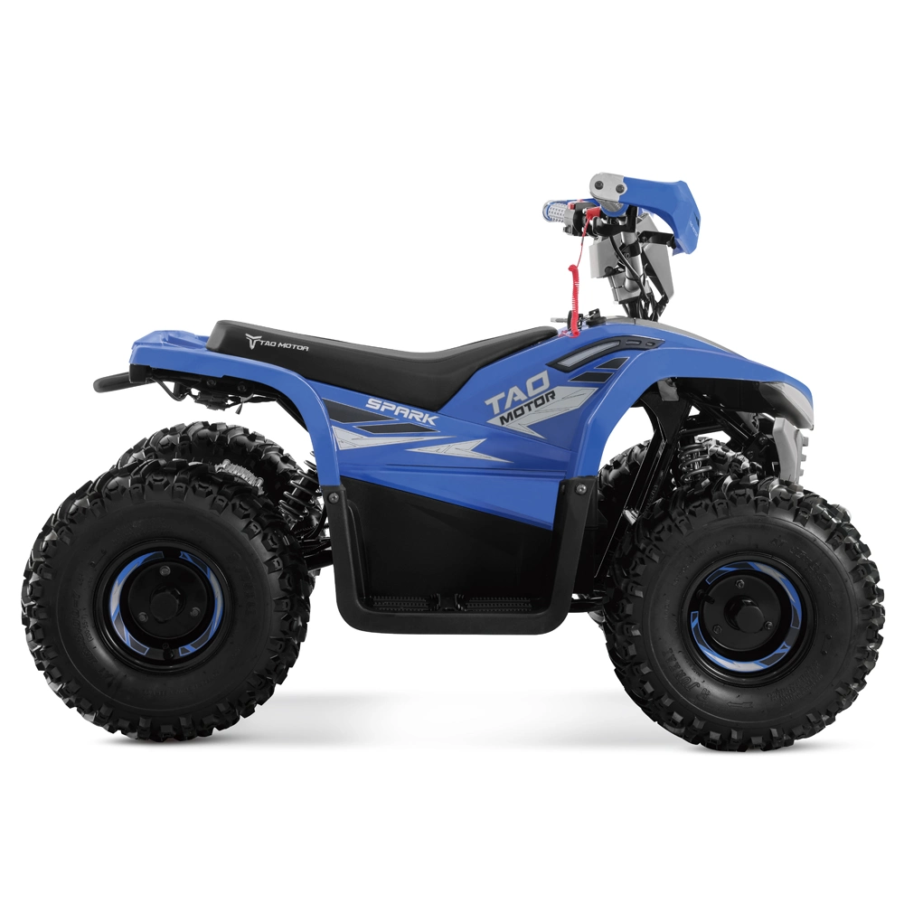 Quad Bike Dune Buggy Electric ATV Electric Quad for Kids