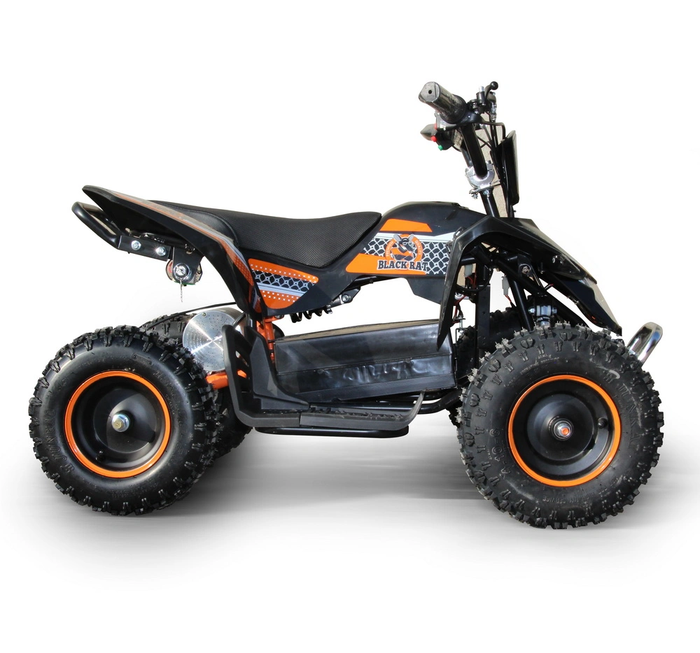 Children&prime;s ATV 800W Shock-Proof 3rd Shift Scenic Quad Bike