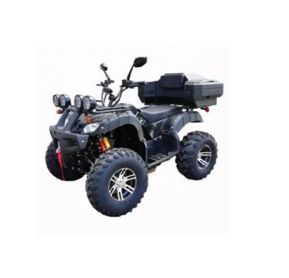 Hot 2000W Electric Adult ATV Quad Bike for Sale