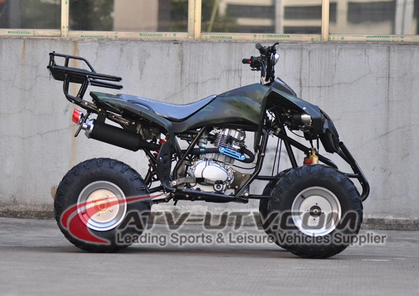 EEC 110cc 125cc 150cc 200cc 250cc 350cc 4X4 Air Cooling Adult Dune Buggy ATV Quad Bike Price