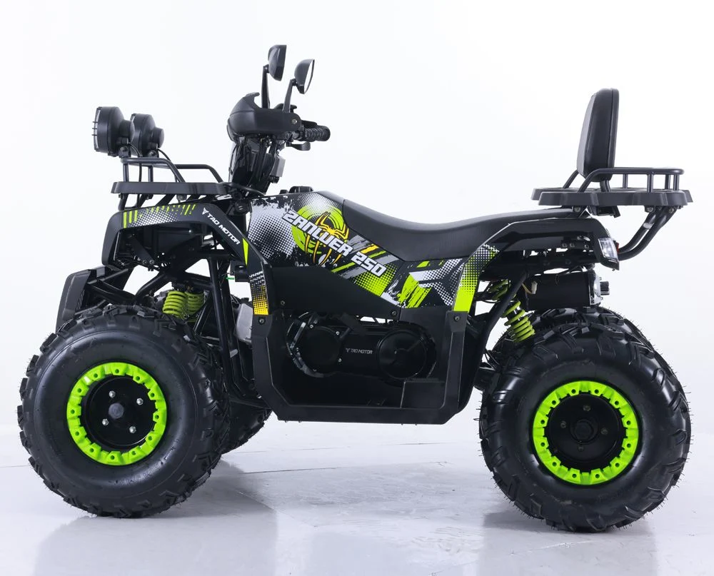 Tao Motor 2024 Quad Bike Motorbike Automatic 150cc 200cc ATV for Adults