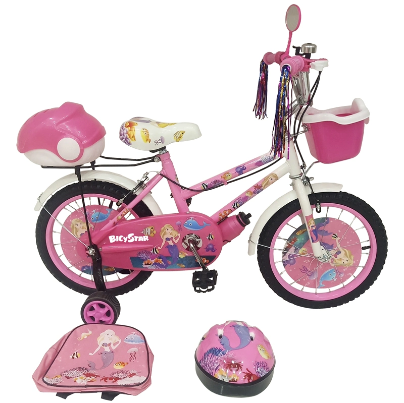 Most Popular Baby 4 Wheeled Toy Bike Bicycle for Kids Children 6 Year