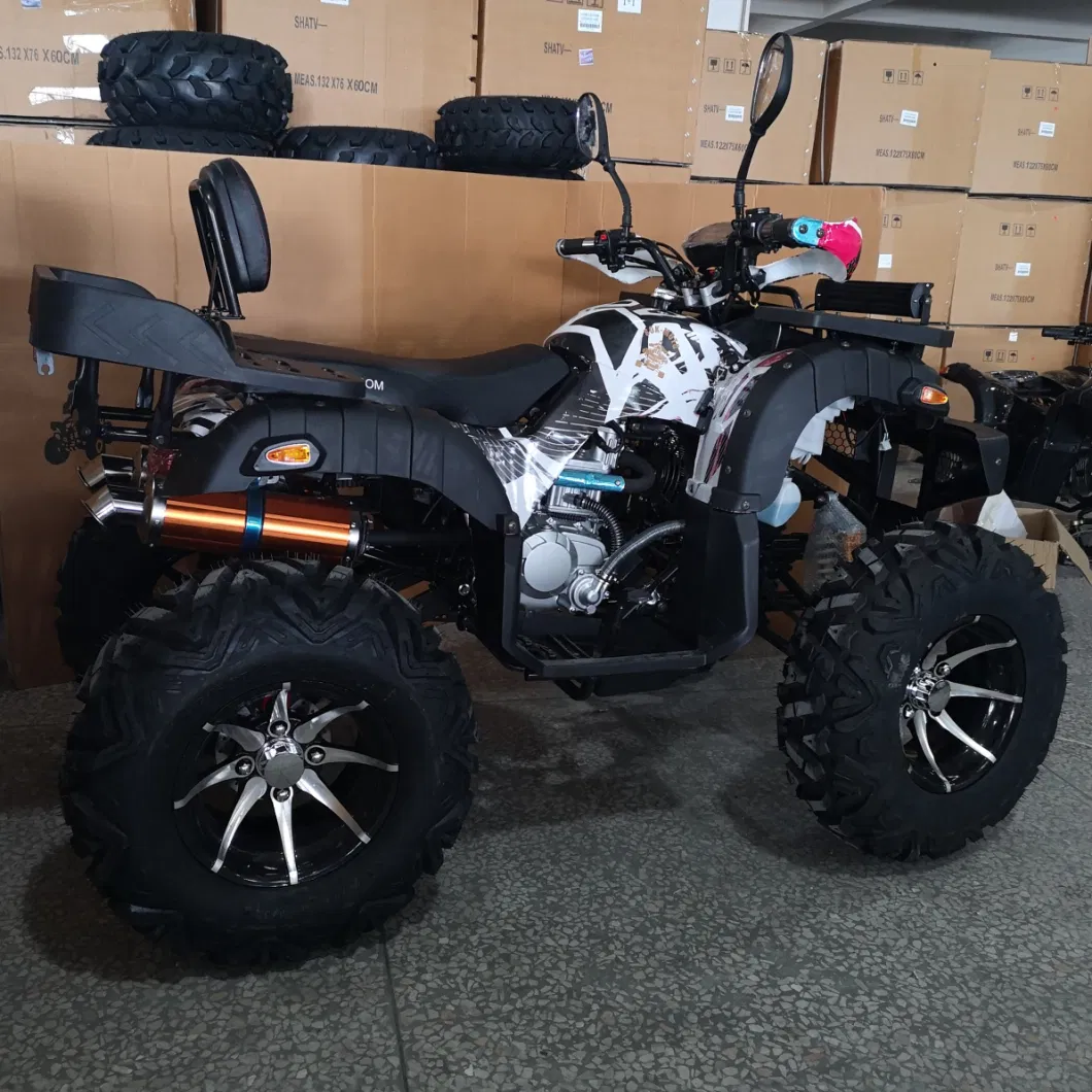 12inch Wide Alloy Wheel 250cc Powerful 4X2 ATV Quad