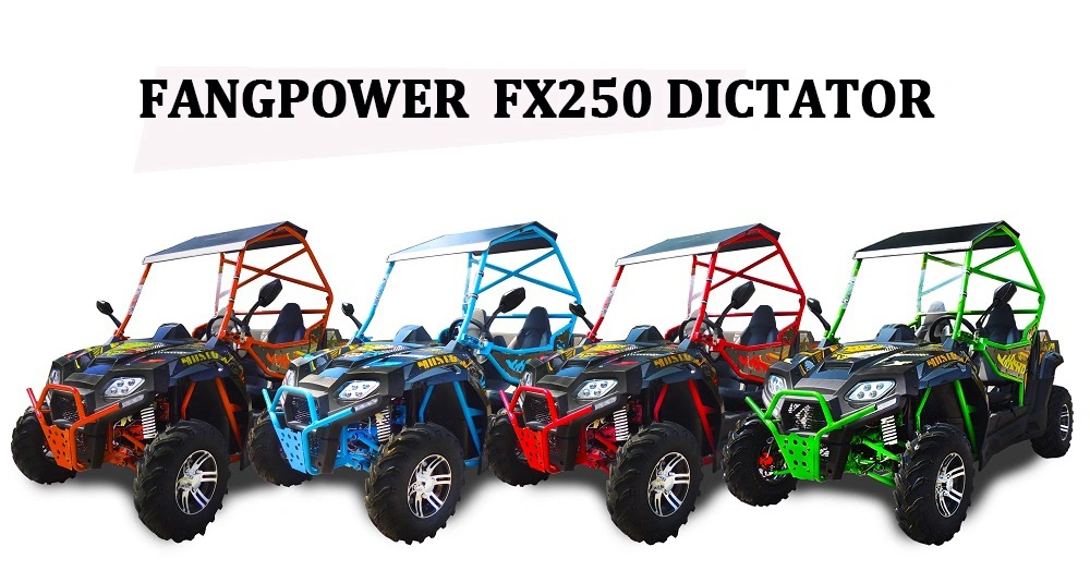 Fangpower 200cc 250cc 400cc Side by Side Dune Buggy Utility Vehicle ATV UTV with EPA and EEC for Kids and Adult
